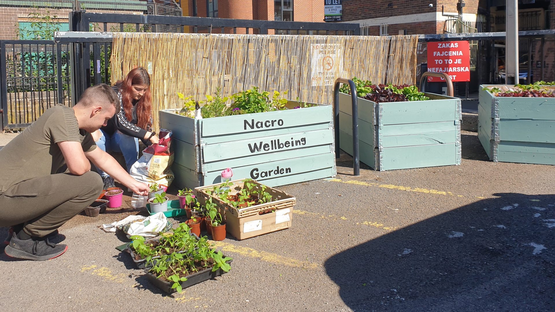 Nacro Education Sheffield Wellbeing Garden