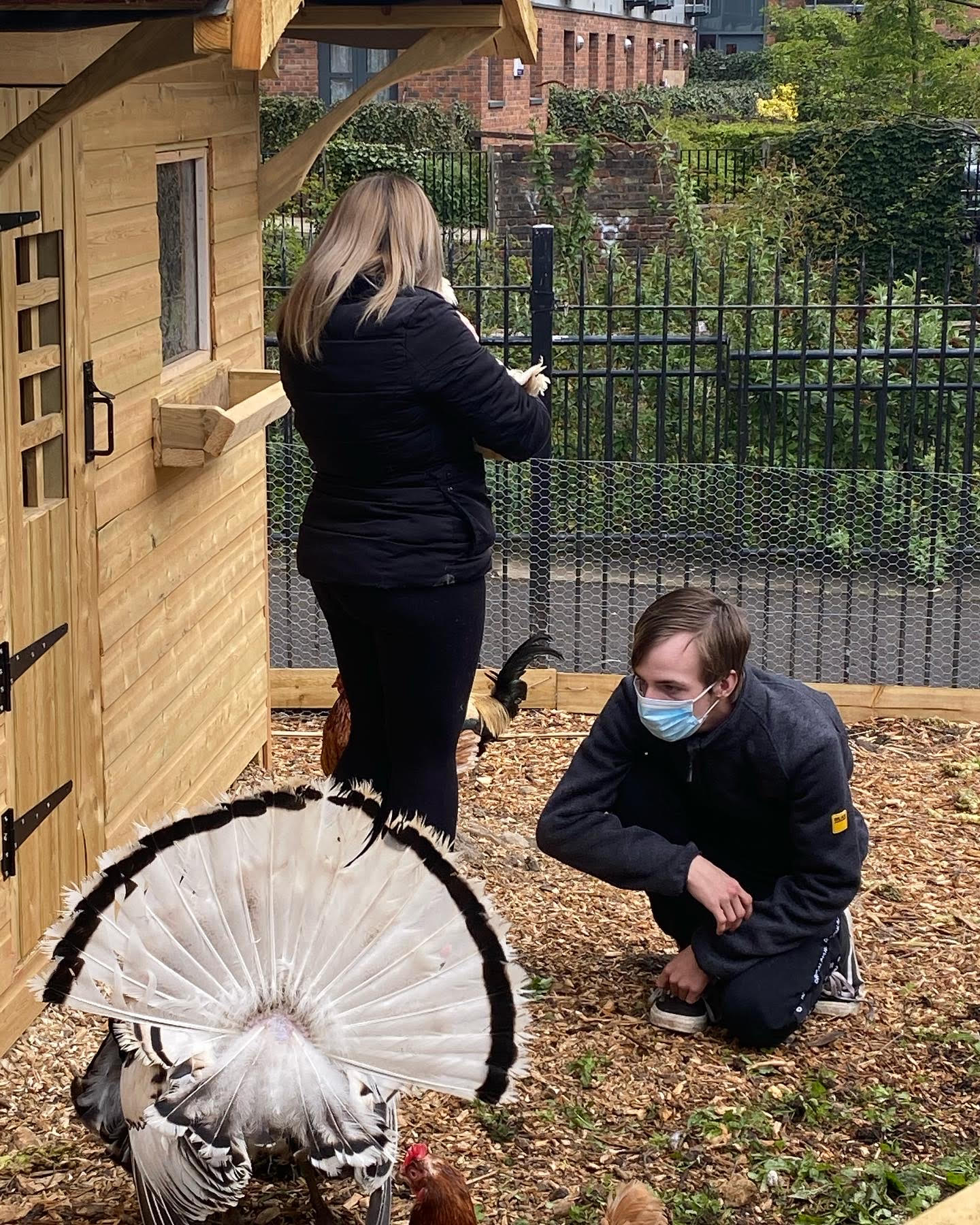 Nacro Education Newcastle Animal care learners at farm