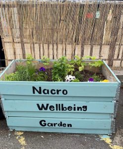 Nacro Education Sheffield Wellbeing Garden