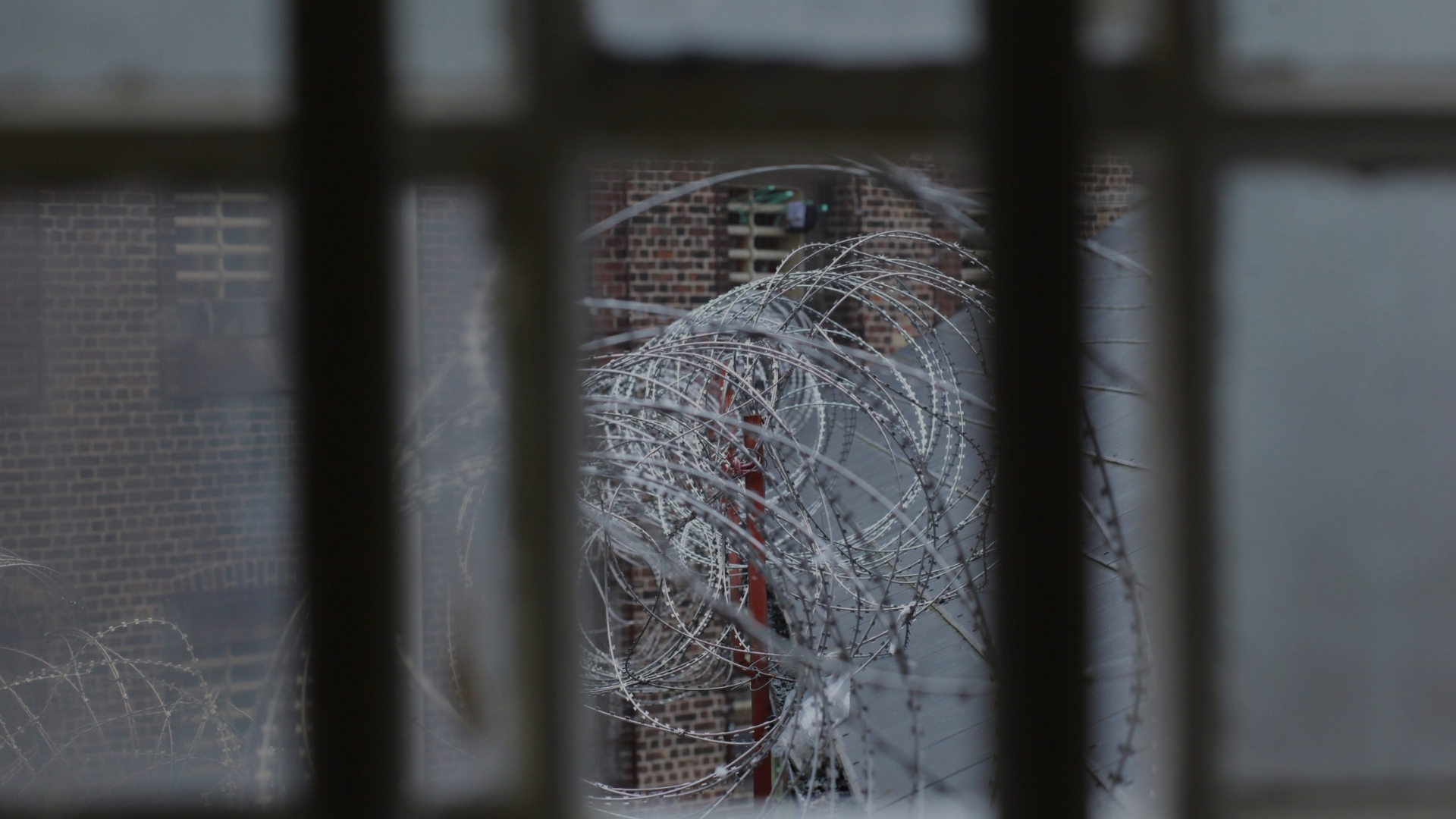 Image of prison barbed wired through a fence